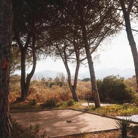 Elegant Architect-designed In Upper Corsica 度假居 Taglio-Isolaccio