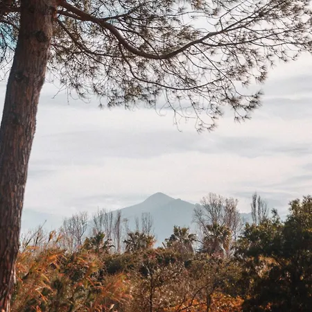 Elegant Architect-designed In Upper Corsica Taglio-Isolaccio
