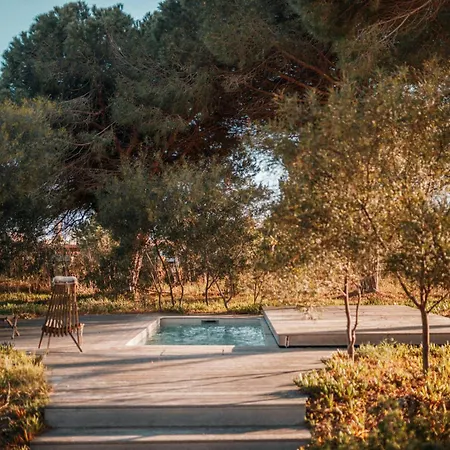 Elegant Architect-designed In Upper Corsica *