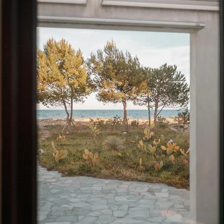 Elegant Architect-designed In Upper Corsica