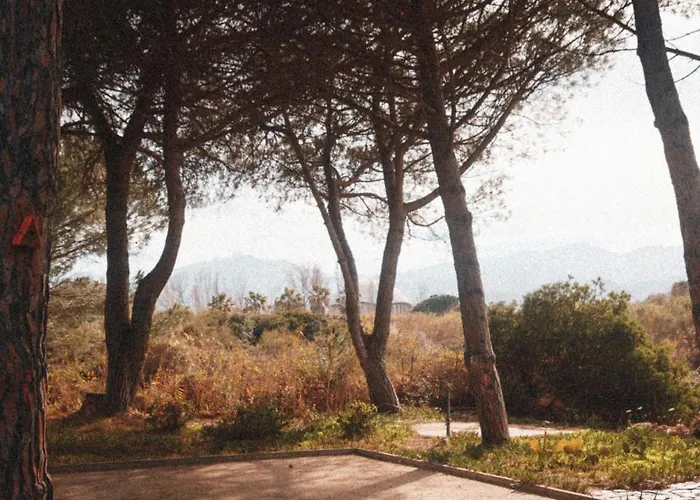 Elegant Architect-designed In Upper Corsica Casa de Férias Taglio-Isolaccio