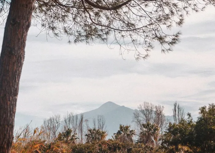 Elegant Architect-designed In Upper Corsica Taglio-Isolaccio