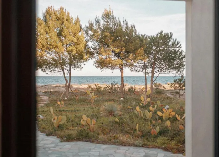 Elegant Architect-designed In Upper Corsica